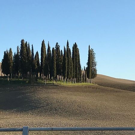 Appartement Il Giuggiolo à Montalcino Extérieur photo