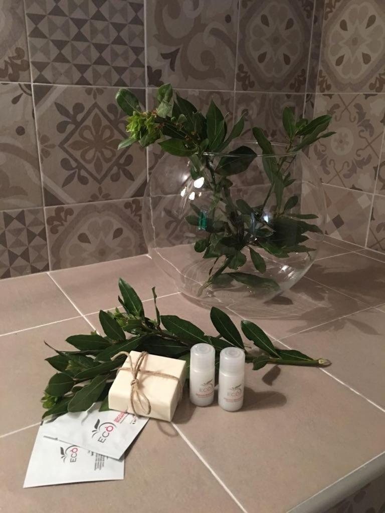 Appartement Il Giuggiolo à Montalcino Extérieur photo
