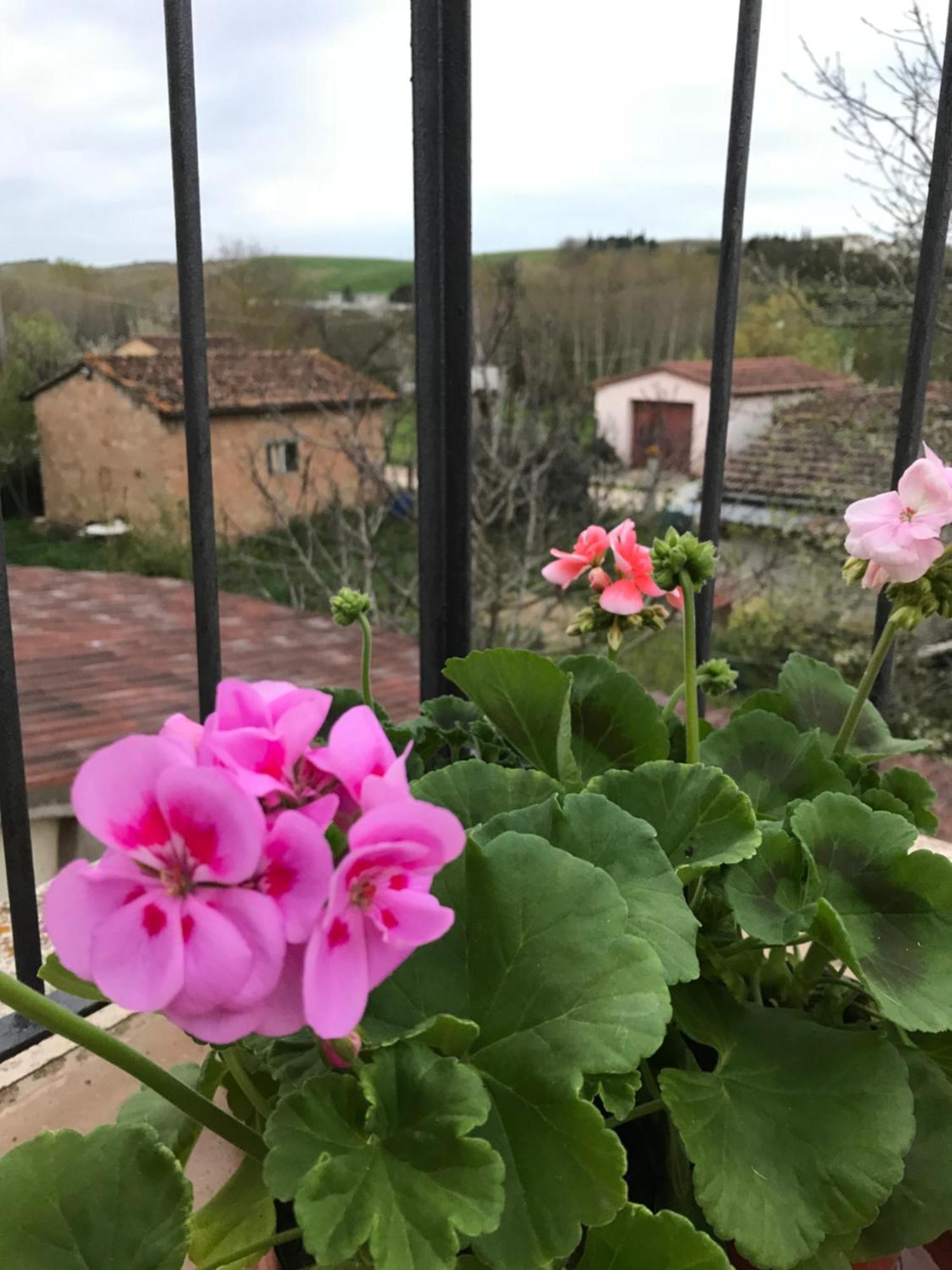 Appartement Il Giuggiolo à Montalcino Extérieur photo